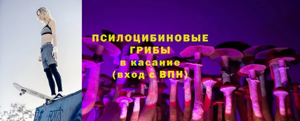 СК Дмитров
