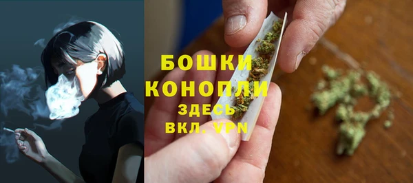 СК Дмитров