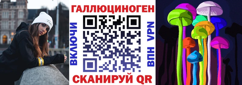 Псилоцибиновые грибы Psilocybine cubensis  Карабаш 